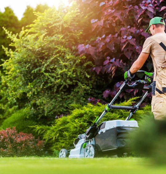 Residential Garden Worker Trimming Backyard Lawn